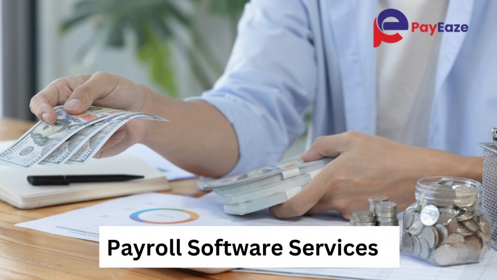 Payroll Software Services